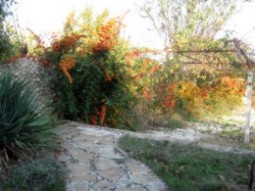 Holiday in Bulgaria, villa for rent - Villa Sanbar
